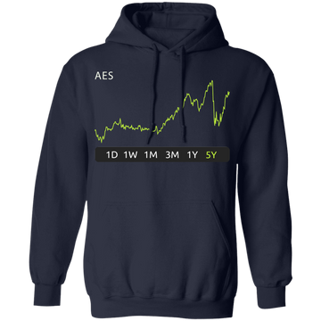 AES Stock 5y Pullover Hoodie